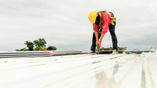 Best Solar Panel Roofing Installation  in Nanakuli, HI